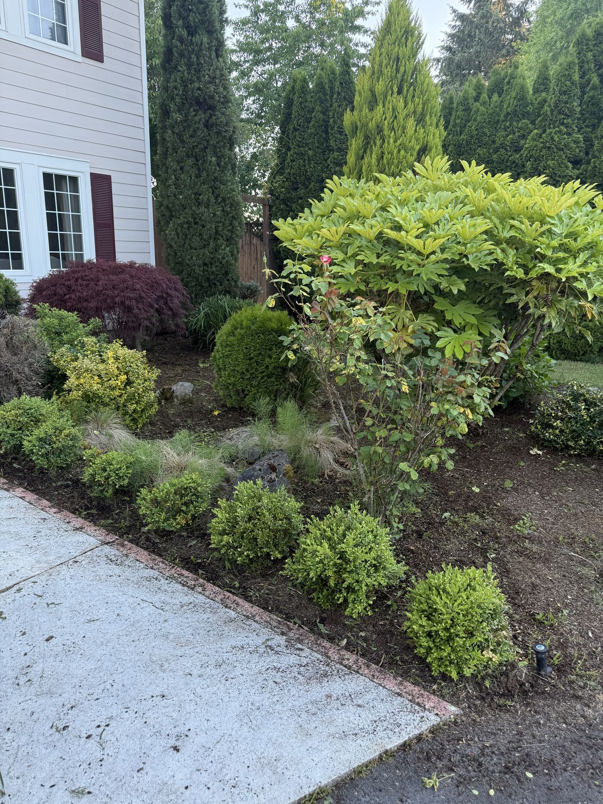 Front yard cleaned up and tidy